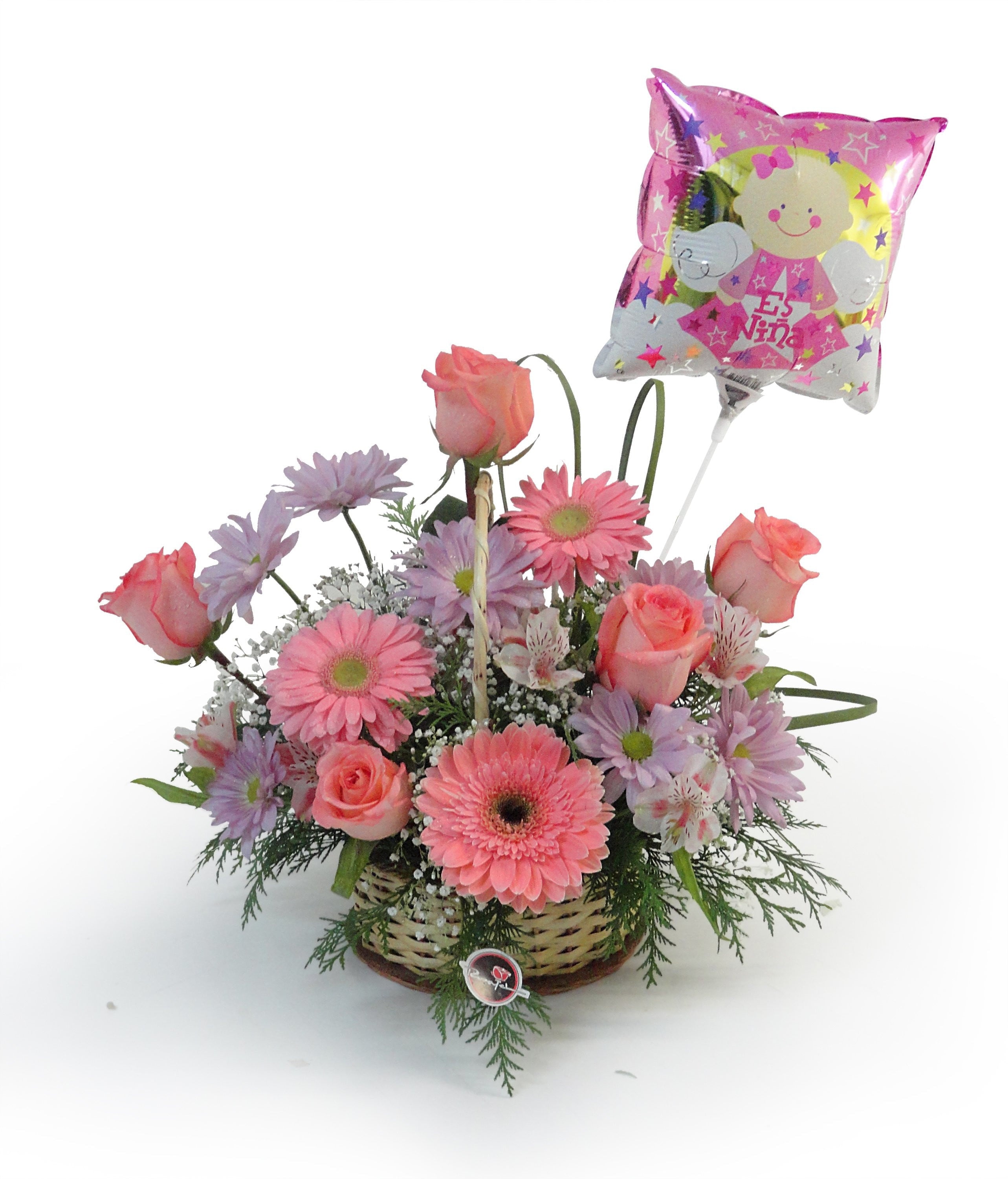 Comprar Entrega de flores mañana para niñas, Flores y regalos